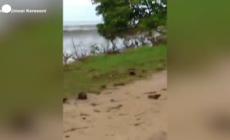 Eruzione a Tonga, le onde raggiungono le isole Fiji