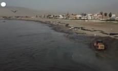 Peru', volontari ripuliscono le spiagge inquinate dal petrolio