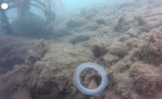 Fao, da serre a pesca troppa plastica in agroalimentare