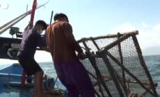 Thailandia, i pescatori alle prese con i danni causati dal petrolio