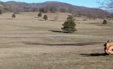 "Raduno no vax al Centro sportivo equestre Rocca di Papa danno immagine per Italia"