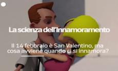 Oggi &egrave; San Valentino, ma che cosa avviene quando ci si innamora? - Video