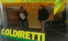 Allarme da Lodi: "Per risparmiare i macellatori comprano in zone dove c'e' peste suina"
