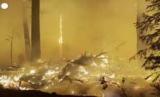 Onu: "allarme incendi estremi ma i governi sono impreparati"