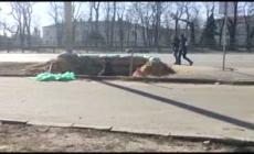 Ucraina, un uomo scava una trincea in una strada principale di Kiev