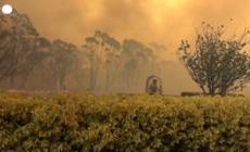 Clima: da meteo estremo gia' impatti irreversibili