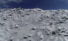 Cina, aumenta la protezione della fauna selvatica in Tibet