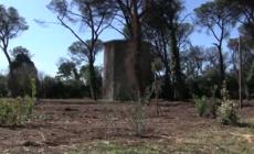 Nuovo verde per 15mila mq e 170 alberi per Villa Ada a Roma