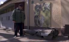 Ucraina, migliaia di animali intrappolati nello zoo di Mykolaiv