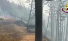 Incendi, rogo in un bosco a Vezza d'Oglio nel Bresciano