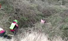 Ritrovata viva la bimba scomparsa in Molise
