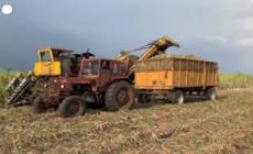 Ucraina, Fao: livelli record per i prezzi alimentari a marzo