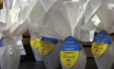 Pasqua, da Torino uova in aiuto degli ucraini: "Meta' ricavato per l'emergenza"