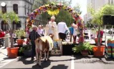 Pasqua, la benedizione degli animali a Los Angeles