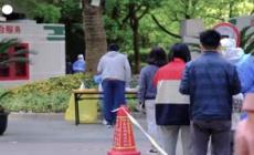 Riparte l'allarme Covid, il 12 maggio vertice mondiale