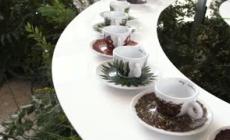 Illy Art Collection, 30 anni di artisti in tazzina