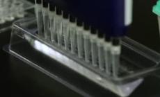 Omicron, isolata in Italia una nuova sottovariante