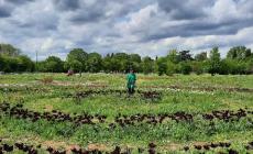 "Passeggiate patrimoniali" alla scoperta della ricchezza culturale e naturale dell'Emilia. Tappa anche a Salsomaggiore
