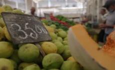 Effetto guerra, nel mondo 200 milioni senza cibo