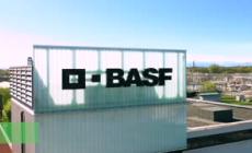 Bottinelli (Basf): "Italia secondo mercato d'Europa per importanza"