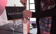 Festa della mamma, un vino 'pink' a sostegno dell'Ucraina
