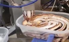 Volano i consumi di gelato, ma balzo dei prezzi del 10%
