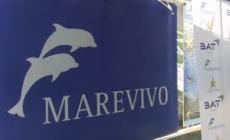Rifiuti: riparte la campagna anti-littering di Marevivo e Bat