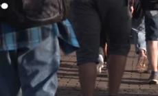La scuola in piazza: "Basta tagli, cambiare reclutamento"