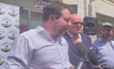 Ucraina, Salvini: "Se aspettiamo la pace di Letta e Di Maio saltano posti lavoro"