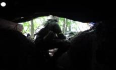 Ucraina, il Donetsk filorusso condanna a morte due inglesi