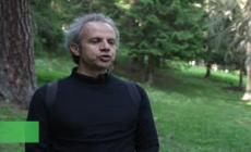 Un bosco sonoro contro lo stress digitale