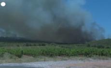 Francia, un incendio devasta mille ettari sul lato orientale dei Pirenei