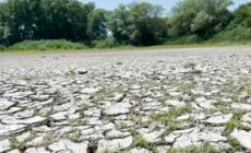 Siccita', il grande caldo mette a rischio la palude di Colfiorito