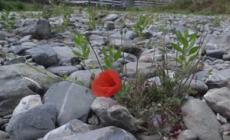 La siccita' non molla la presa ma e' atteso cambio meteo