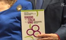 Vino, Casellati: "Protagonista e risorsa economica per Paese"