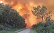 Francia, bruciano mille ettari di foresta nel sud della Gironda - Video