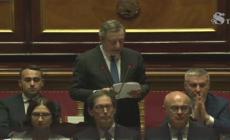 Draghi: "Serve sostegno all'esecutivo, non alle proteste non autorizzate"