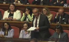 Governo, Licheri: "M5s non fara' mai cadere un esecutivo per convenienza"