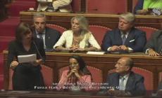 Governo, Bernini: "Forza Italia non partecipera' al voto sulla fiducia"