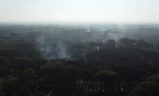 Incendio Pineta di Castel Fusano, le immagini aeree