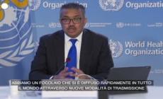 Vaiolo delle scimmie, l'Oms: "Emergenza sanitaria internazionale"