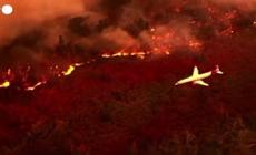 Incendio in California, le immagini aeree dello spaventoso "Oak Fire"