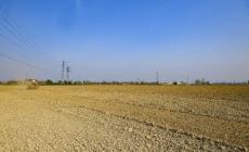 Siccità,  indennizzi riconosciuti alle imprese agricole dell’Emilia-Romagna 
