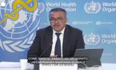 Vaiolo scimmie, Oms: "Vaccinazione di massa non raccomandata"
