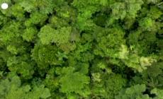 Gia' finite le risorse naturali della Terra del 2022