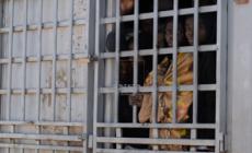 Chi sono gli scafisti bambini, processati come adulti