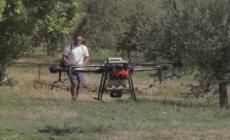 Desenzano, la disinfestazione contro agli insetti si fa con il drone