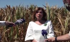 Siccita', Casellati: "Va evitato che diventi deserto economico"