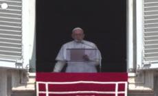 Ucraina, il Papa: "Segno di speranza la partenza delle navi con il grano"