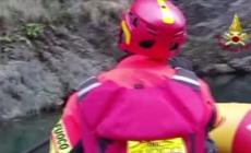 Avventura a lieto fine per un setter inglese, salvato dopo essere caduto in un dirupo